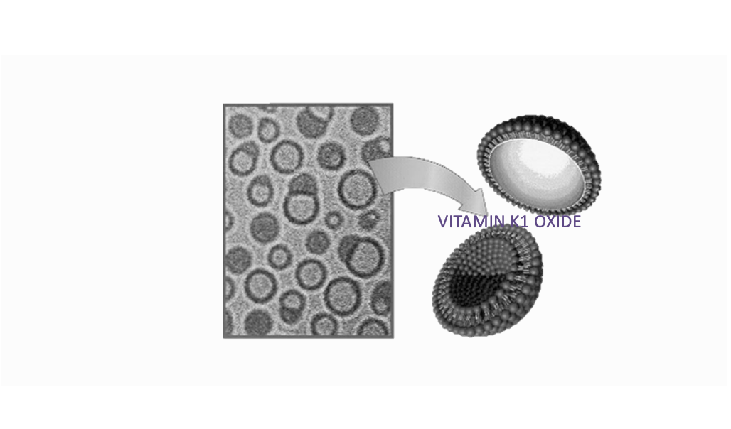 VITAMIN K1 OXIDE in liposome