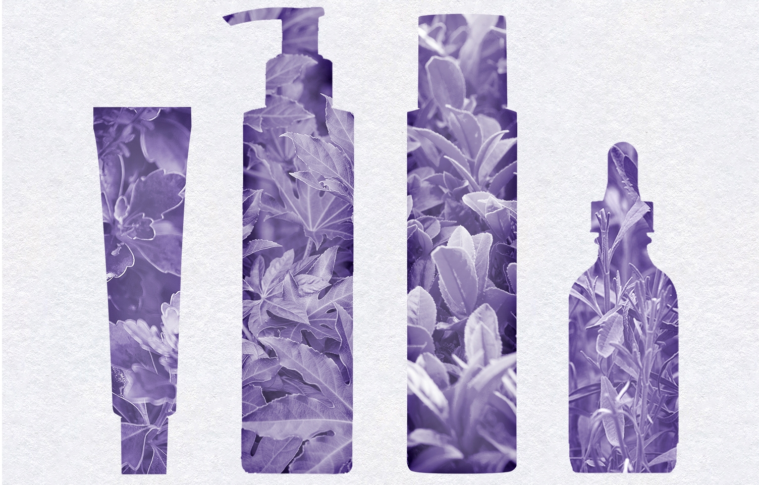 acleon intro2 pic