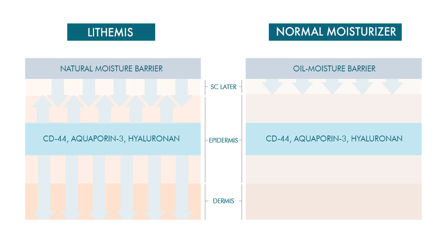 lithemis effect moisture